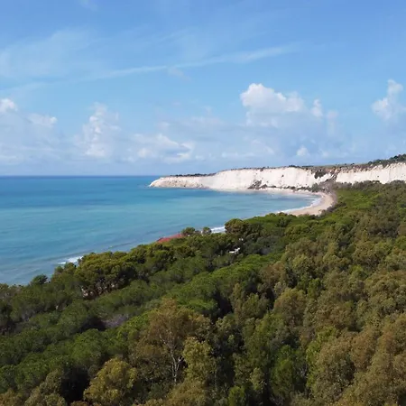 App 2 2 Plaetze Cattolica Eraclea